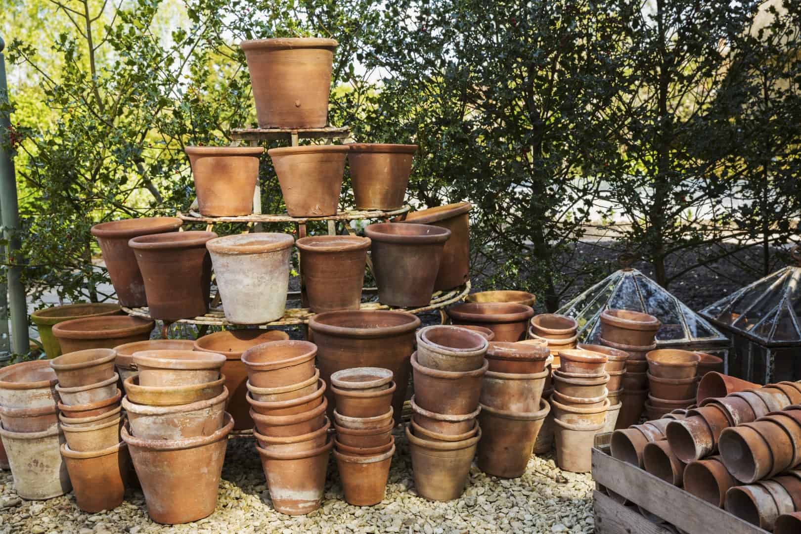 Garden Pots Theft