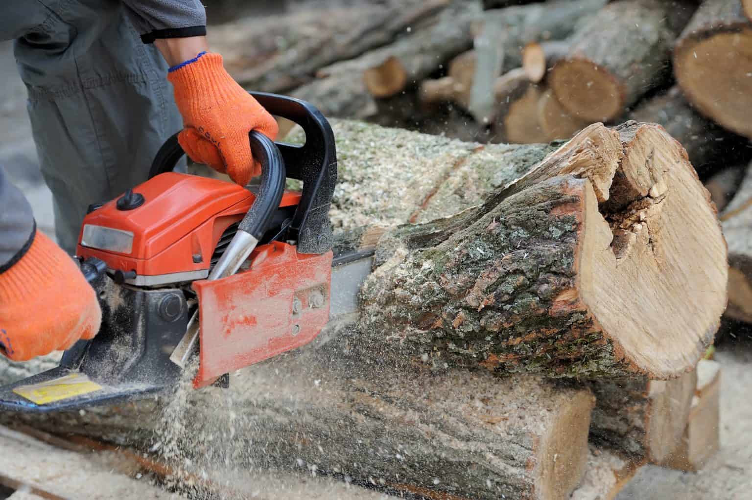 Why Does My Chainsaw Keep Stretching? Home And Garden Expert